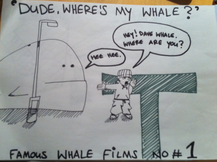 Dude, Where's My Whale?